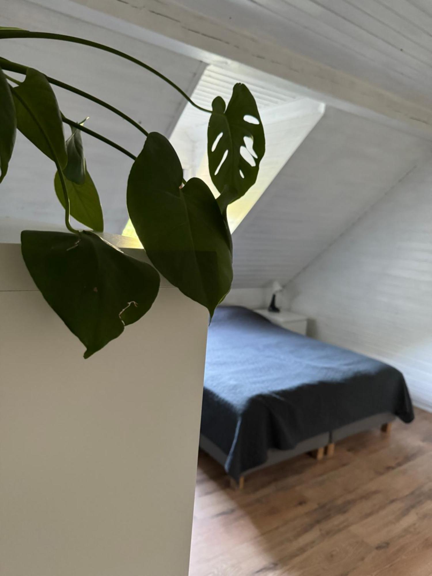 48C Domki Letniskowe I Apartament Pobierowo Ngoại thất bức ảnh